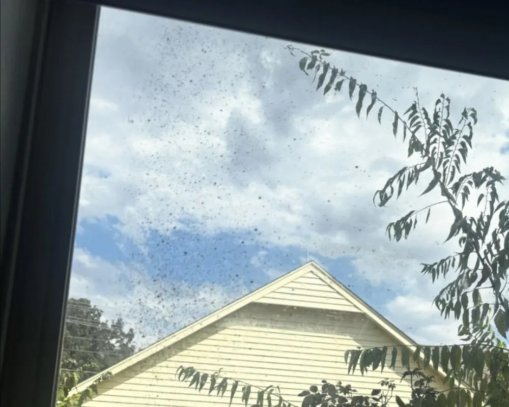 Same window before cleaning, covered in spots