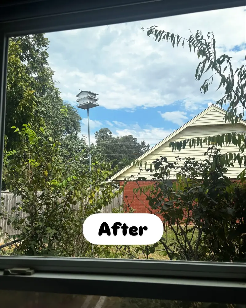 Clear view through a freshly cleaned window