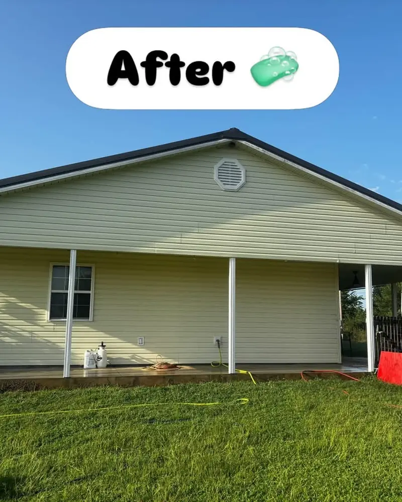 House after a soft wash